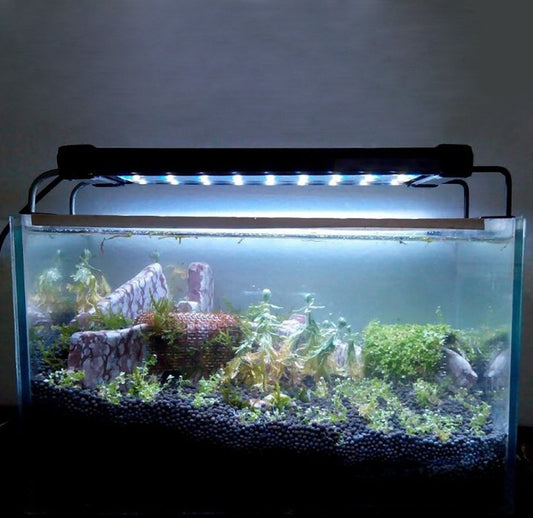 Aquarium Led Lighting Lamp Of Freshwater Fish